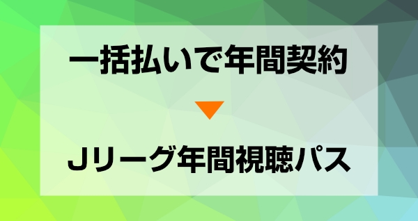 一括払い、年間契約なら